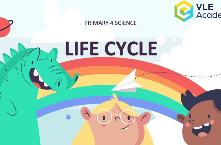 Primary 4 Science (Life cycle)