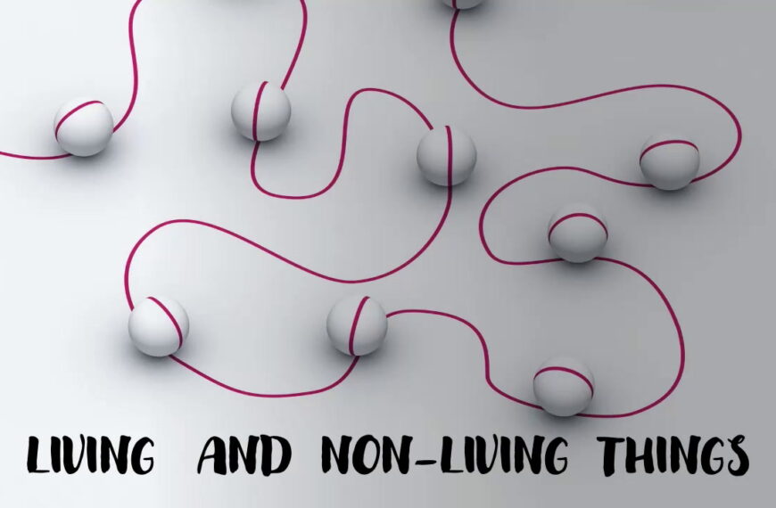 Primary 3 Science (Living and non-living things)