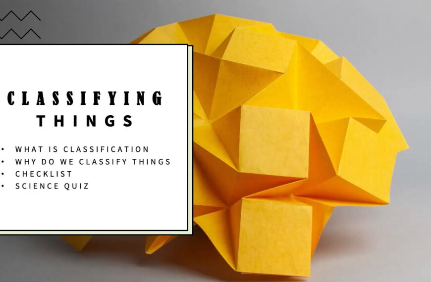 Primary 3 Science (Classifying Living thing)