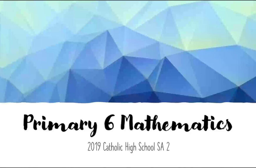 Primary 6 Maths Pass Year Exam Review